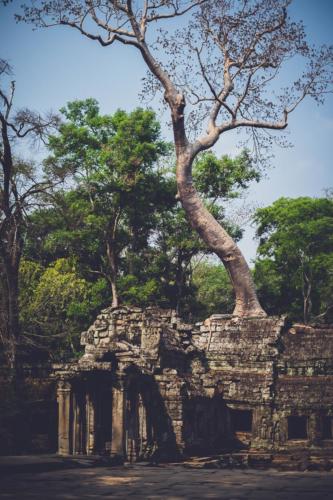 Cambodge -  Angkor Vat