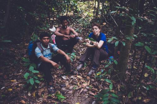 Cambodge - jungle dans le Ratanakiri