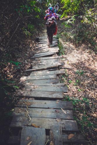 Piste de jungle - Ratanakiri