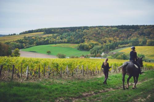 Promenade à cheval - Bourgogne