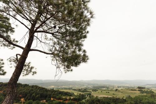 Jogging provençal