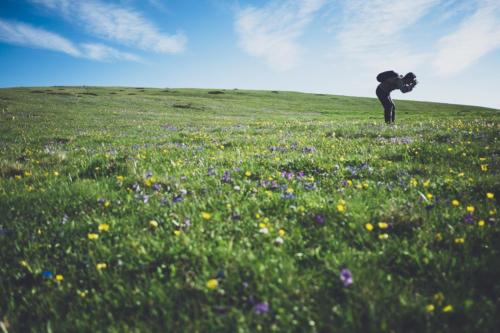 La fascination pour les petites choses de la nature